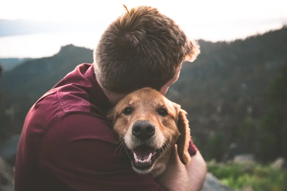 How Much Does It Cost to Ship a Dog from Los Angeles to Europe?