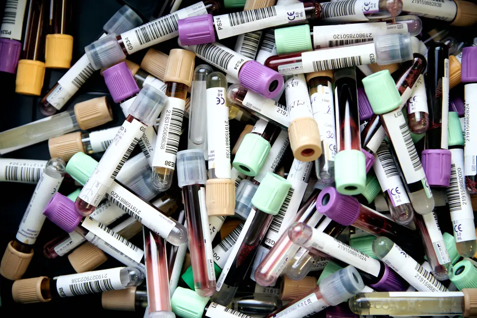 Rabies titer test for traveling with cats and dogs
