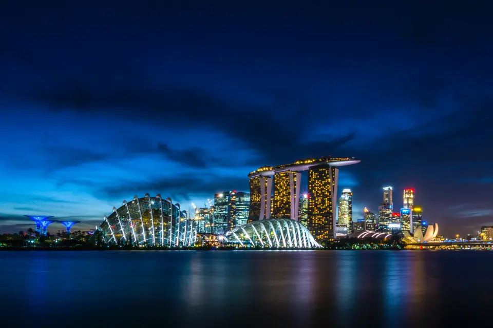 Dogs and Cats travel from United States to Singapore: Changes to Singapore’s Rabies Risk Categorization System Starting July 2024