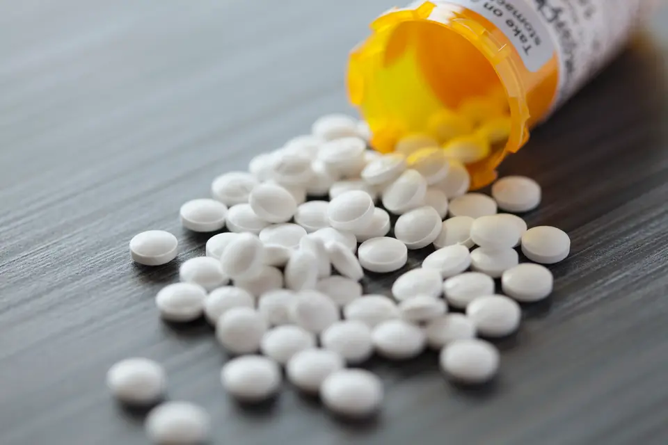 Can You Give Your Dog Human Antibiotics Like Amoxicillin?
