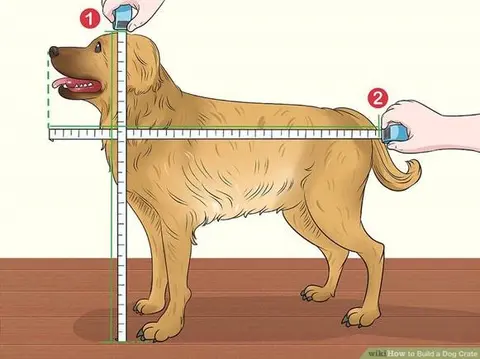 Choosing the Right Crate Size for Your Dog’s Air Travel: A Guide by 0x Cargo Pet Travel