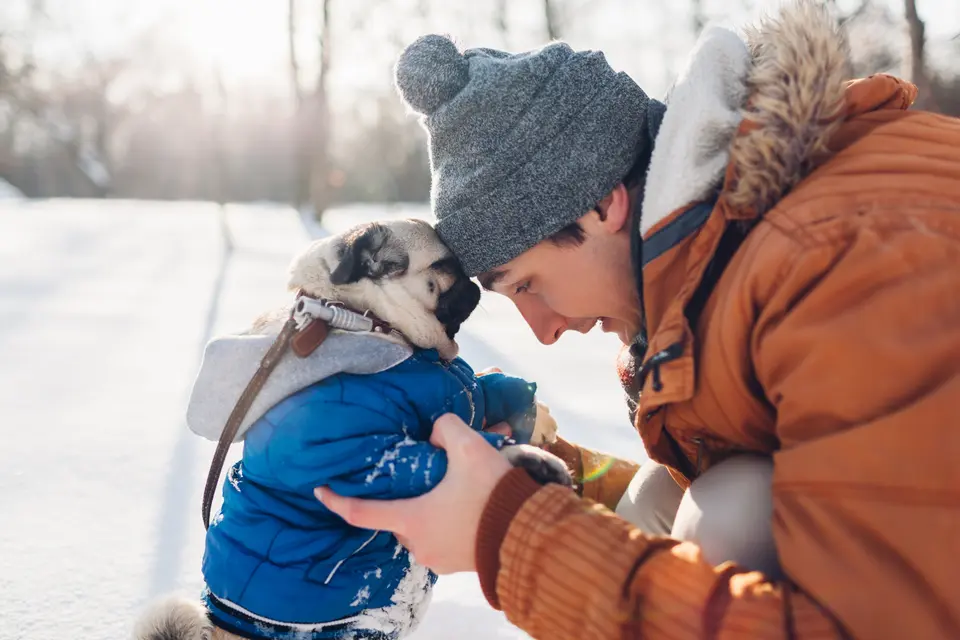 The Hidden Side of Canine Neutering: Risks Your Vet Might Not Mention