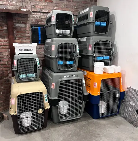 Stacked airline pet travel crates of several sizes
